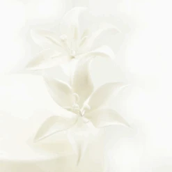 Feinzucker Blüten Tiger Lily White 2er Ca. 10cm