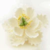 Feinzucker Blüte Peony White 11,4cm