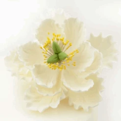 Feinzucker Blüte Peony White 11,4cm