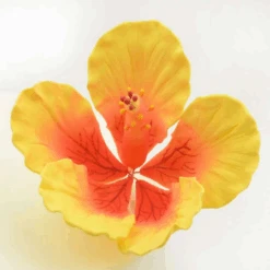 Feinzucker Blüte Hibiscus Giant 11,4cm