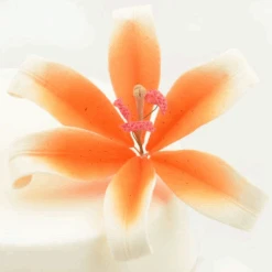 Feinzucker Blüte Lily White Orange Spray 12,7cm