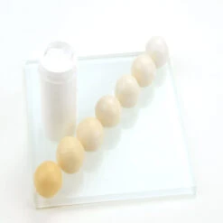 Pati-Versand Lebensmittelfarbe Paste White White 25g