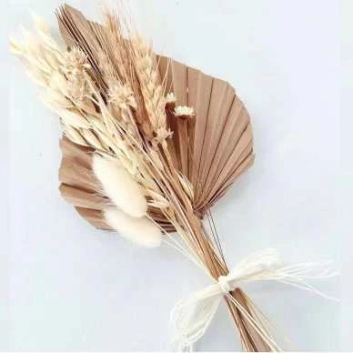 Trockenblume PalmblĂ€tter Natur â Bild 3