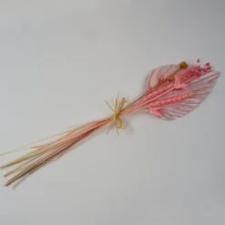 Trockenblume PalmblÀtter Rosa