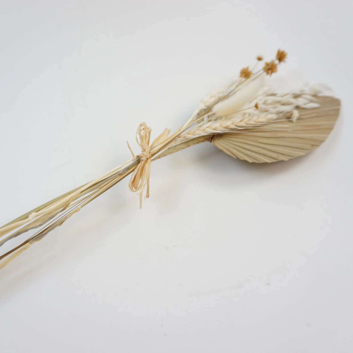 Trockenblume PalmblÀtter Natur