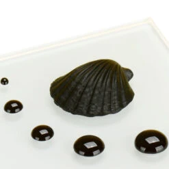 Lebensmittelfarbe Schwarz 50ml ( Auch Für Airbrush Verwendbar )